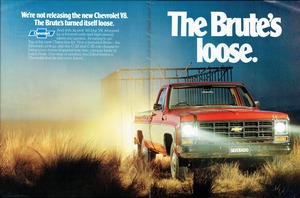 1979 Chevrolet V8 Trucks (Aus)-02-03.jpg
